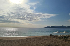 Bel Apt Near Croisette Beach Cannes